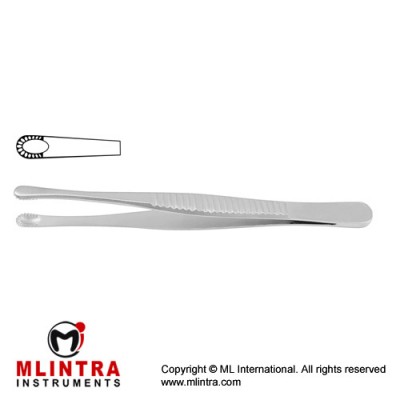 Russian Modell Dissecting Forceps Stainless Steel, 15 cm - 6"